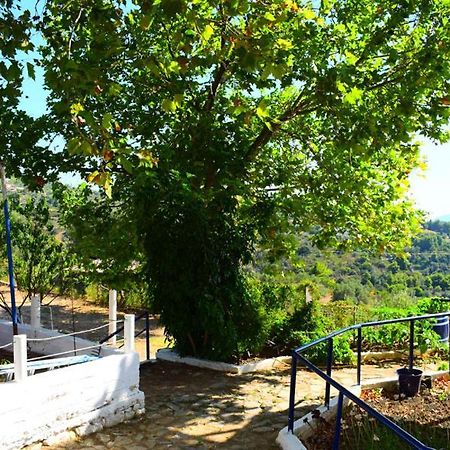 Rizos Veranda - Rooms Isomata Exterior foto